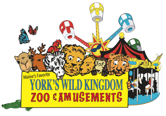 York's Wild Kingdom Logo